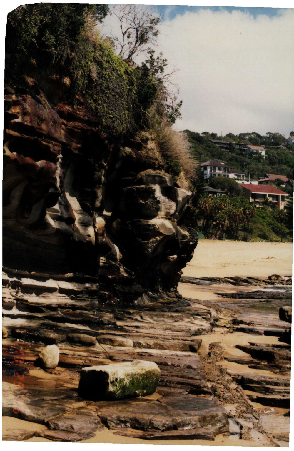 Whale Beach Cliffs