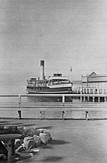 Manly Wharf