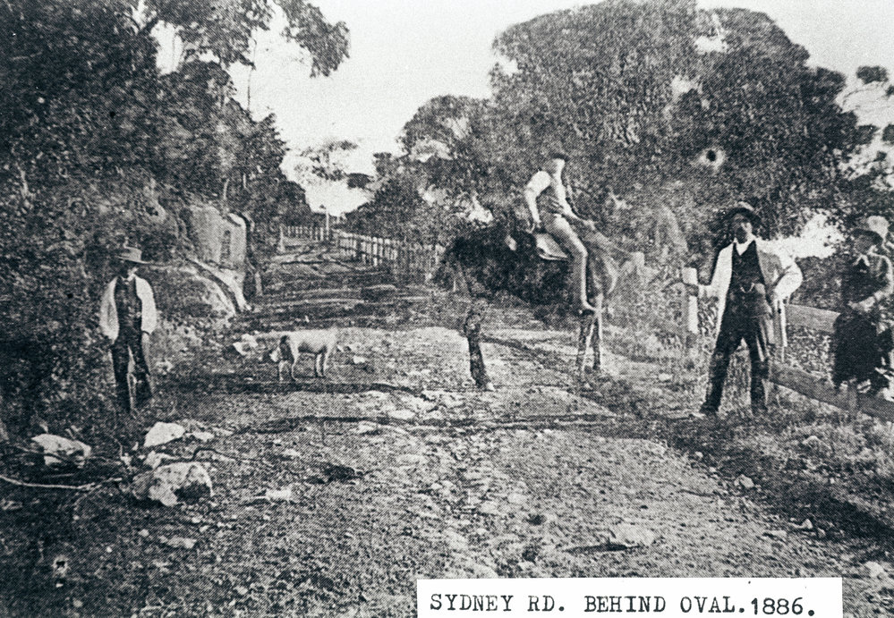 Sydney Road above Manly Oval