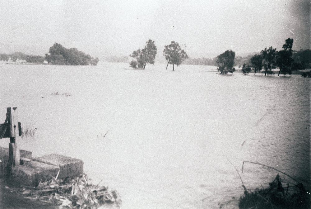 View of Manly Lagoon in flood from the old tramway bridge