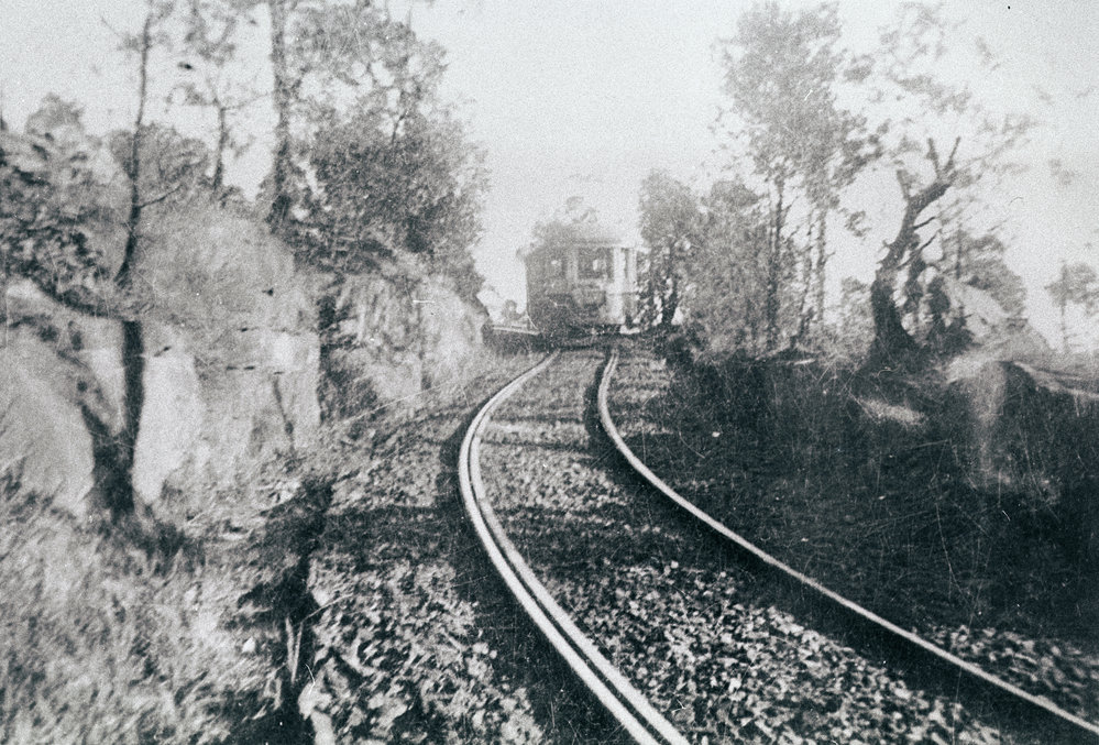Tram on the Manly to Spit Line