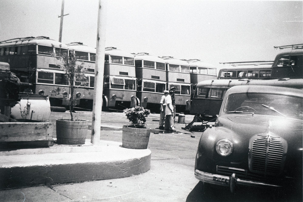 Trolley Buses lined up at Manly Bus Depot