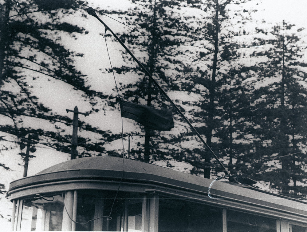 Tram Opposite Manly Wharf