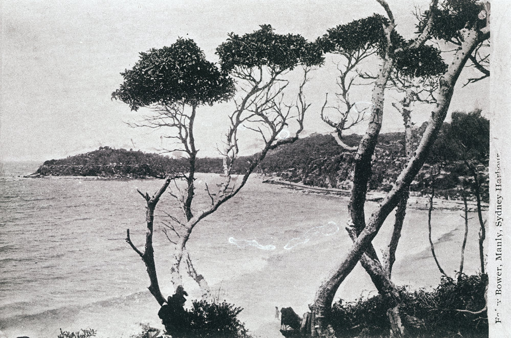 Shelly Beach and Fairy Bower