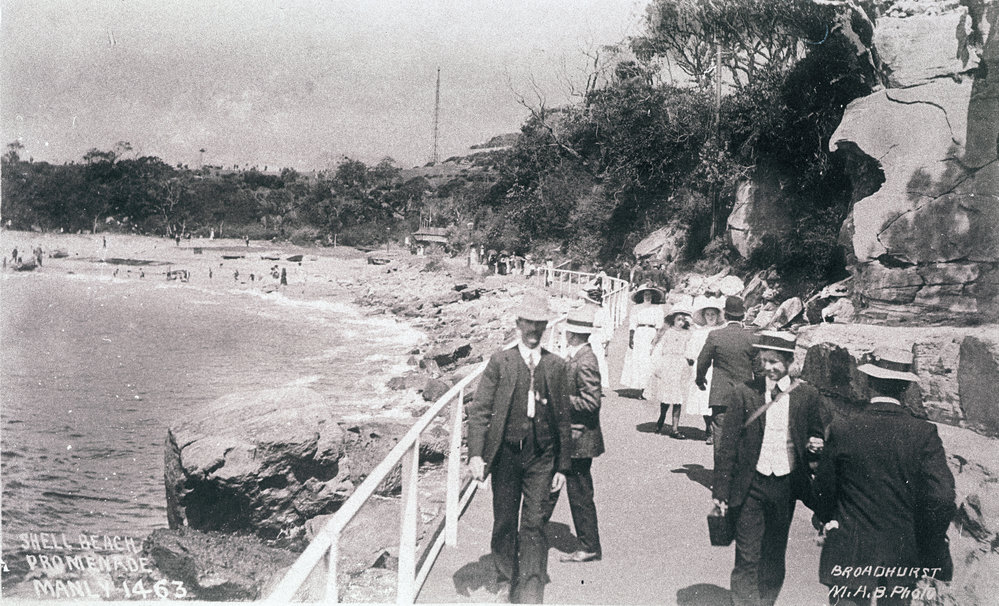 Shelly Beach and Fairy Bower Walkway