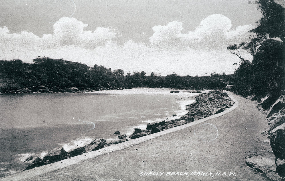 Shelly Beach and Fairy Bower Walkway