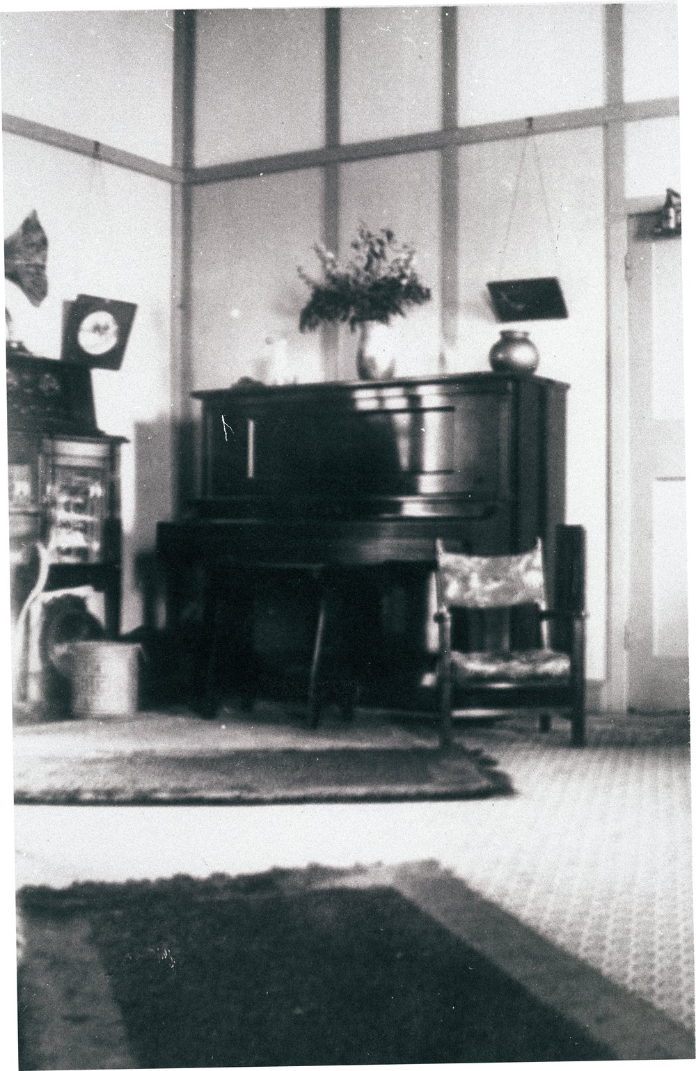 Hotel Manly, the solarium
