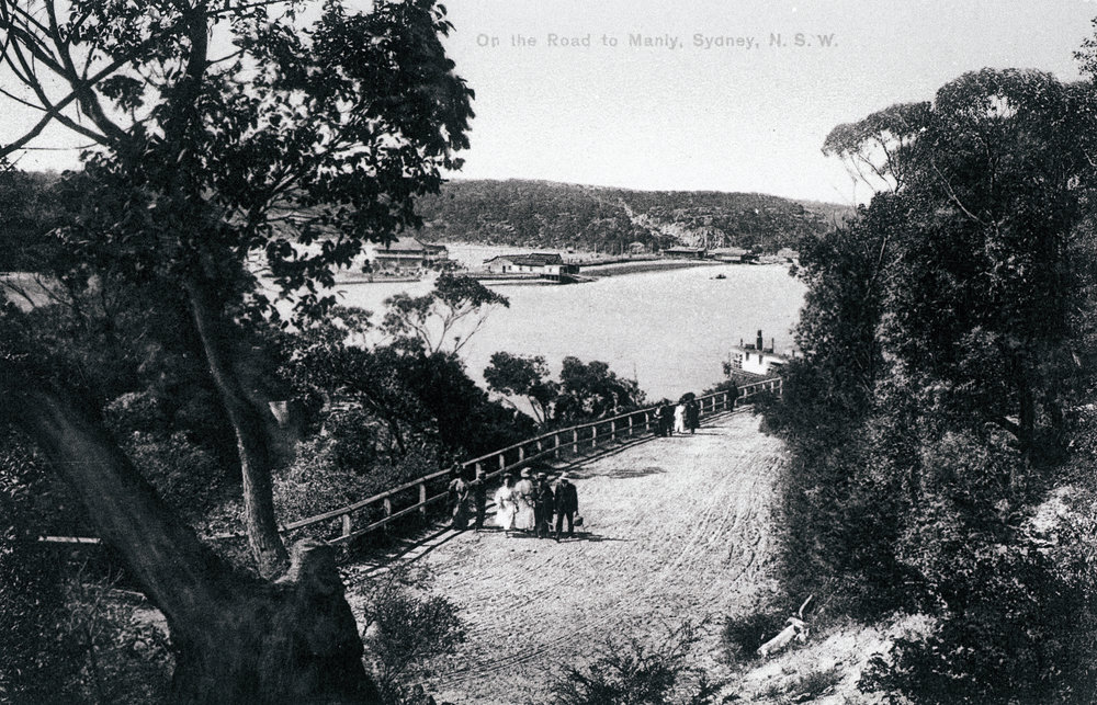Old Sydney Road down to the Spit, Postcard