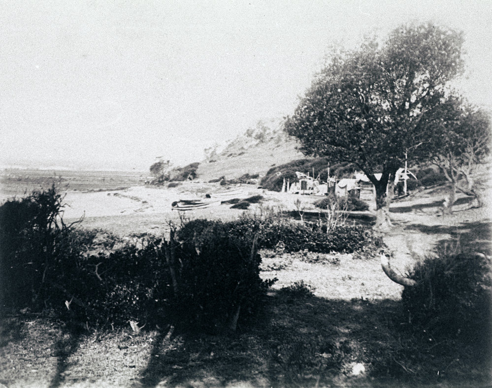 Fishermens shacks, Long Reef