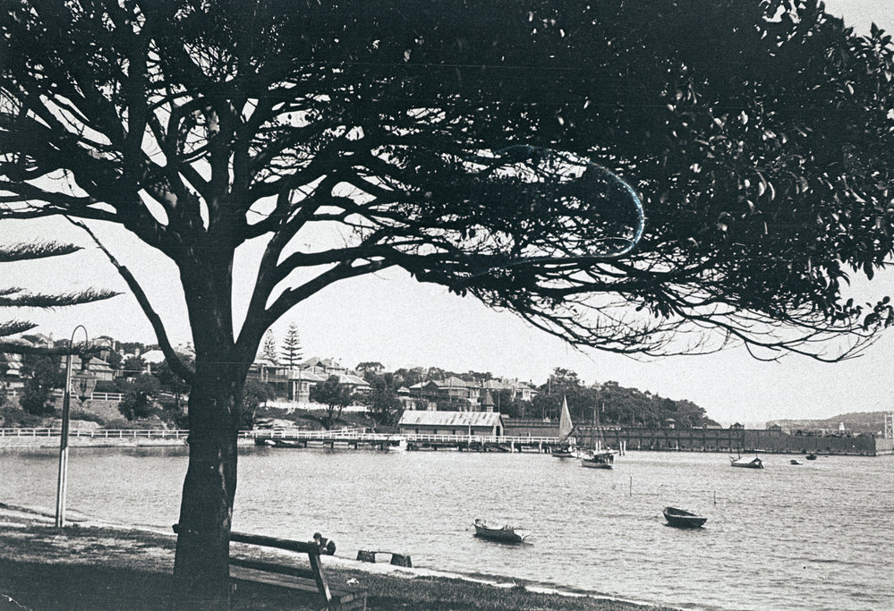 Manly Cove