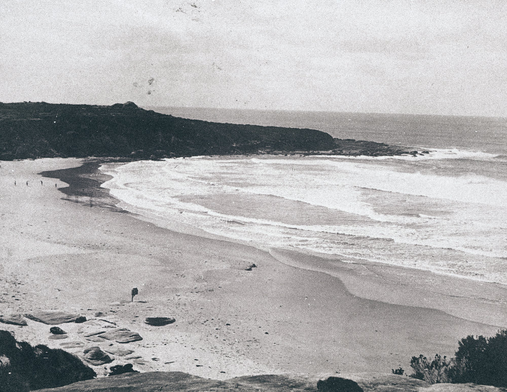 View north across Freshwater Beach