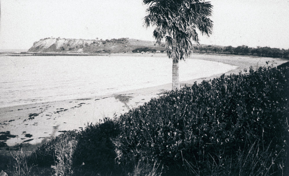 View across Collaroy Basin to Long Reef