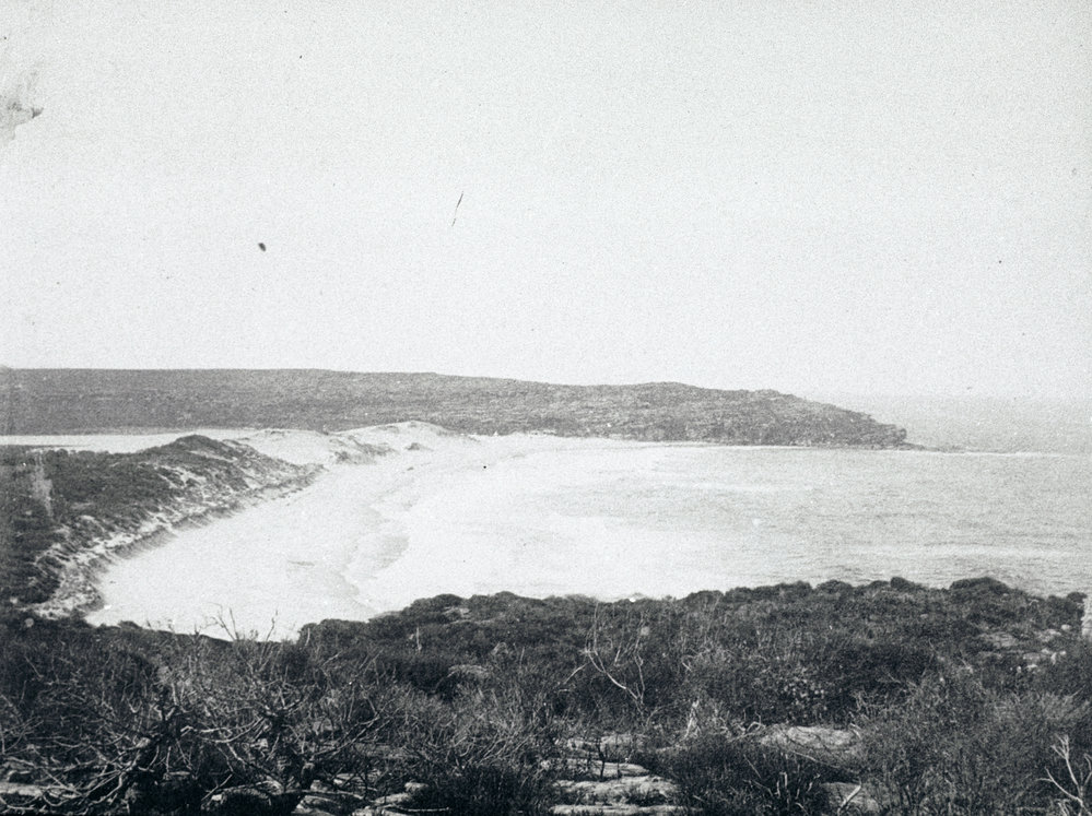 View looking north over Curl Curl Beach