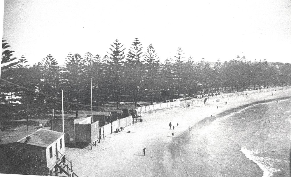 Manly Beach, showing dressing sheds and Norfolk Island pines