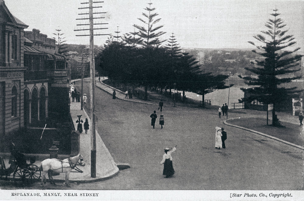 East Esplanade, Manly Postcard