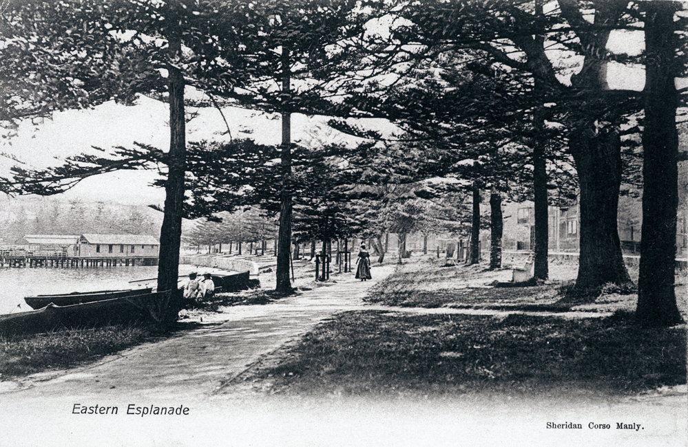East Esplanade Reserve, Manly Postcard