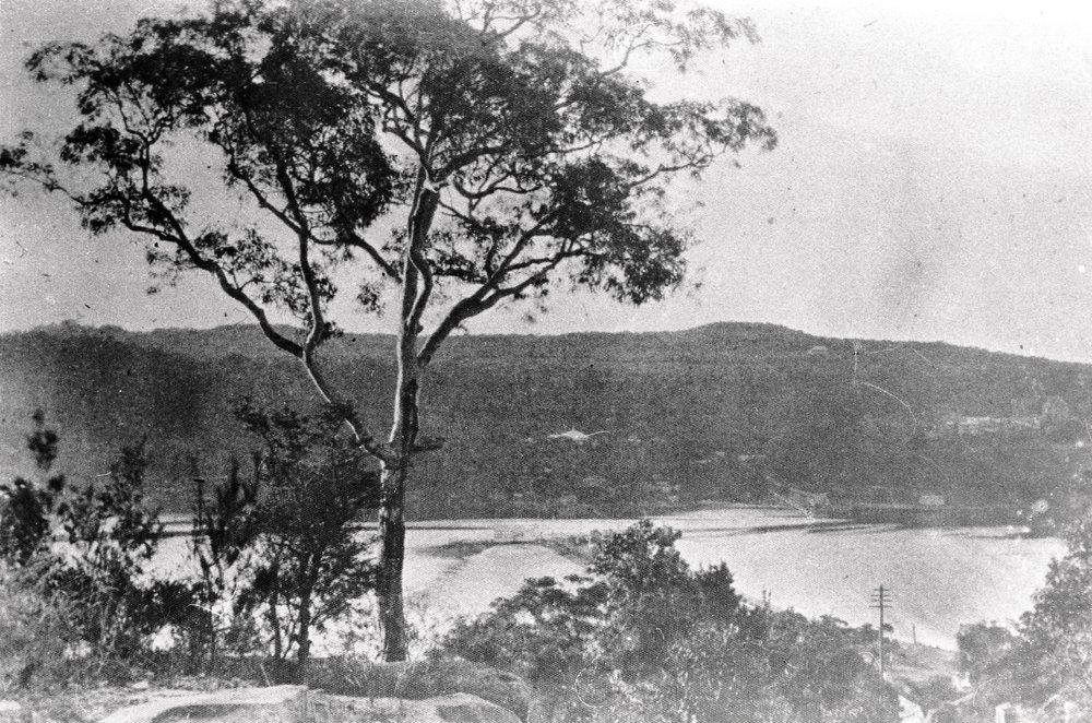 Seaforth and The Spit from Parriwi Point