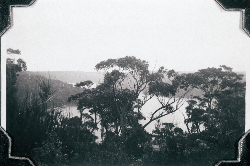 Middle Harbour from Castle Circuit, Seaforth