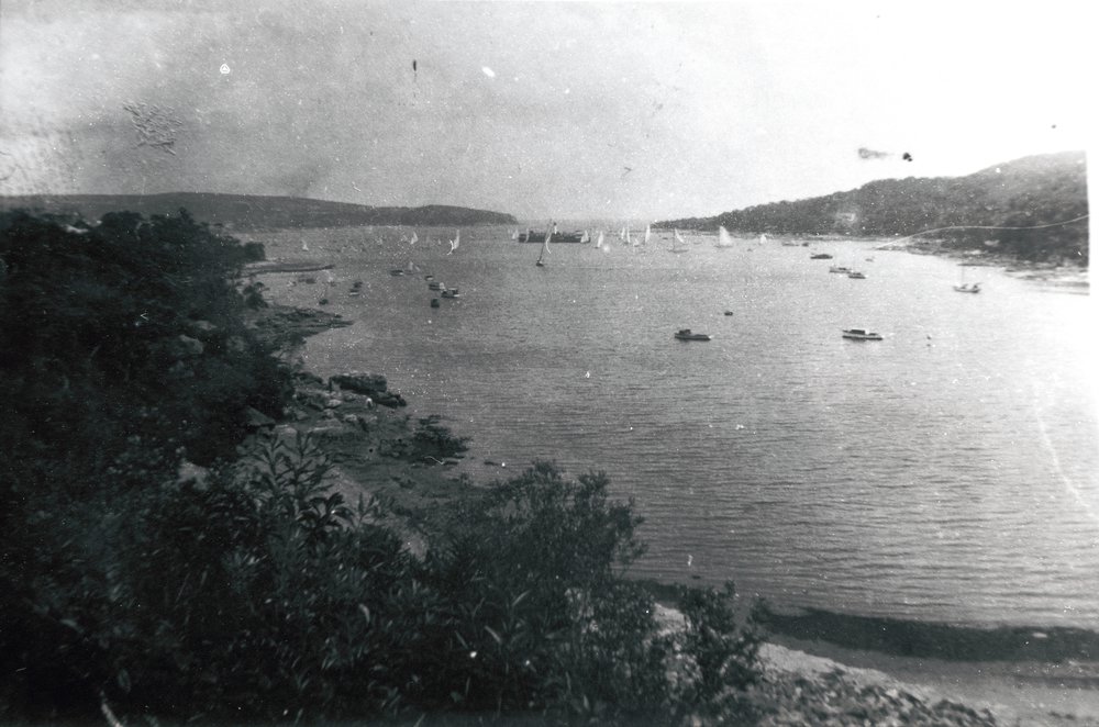 North Harbour and Forty Baskets Beach from Fairlight