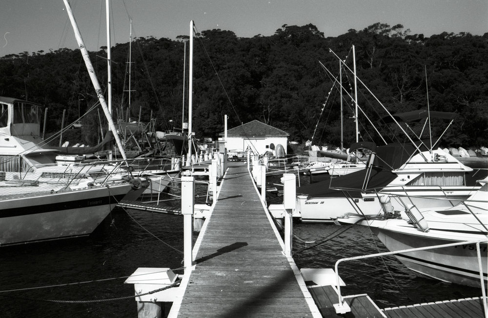 Davis's Marina, North Harbour
