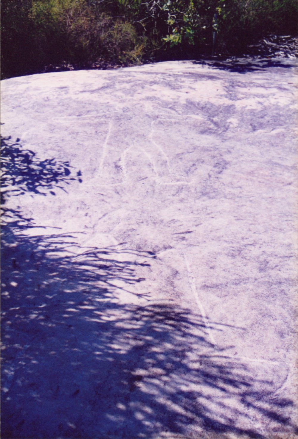 Aboriginal rock engraving, West Head