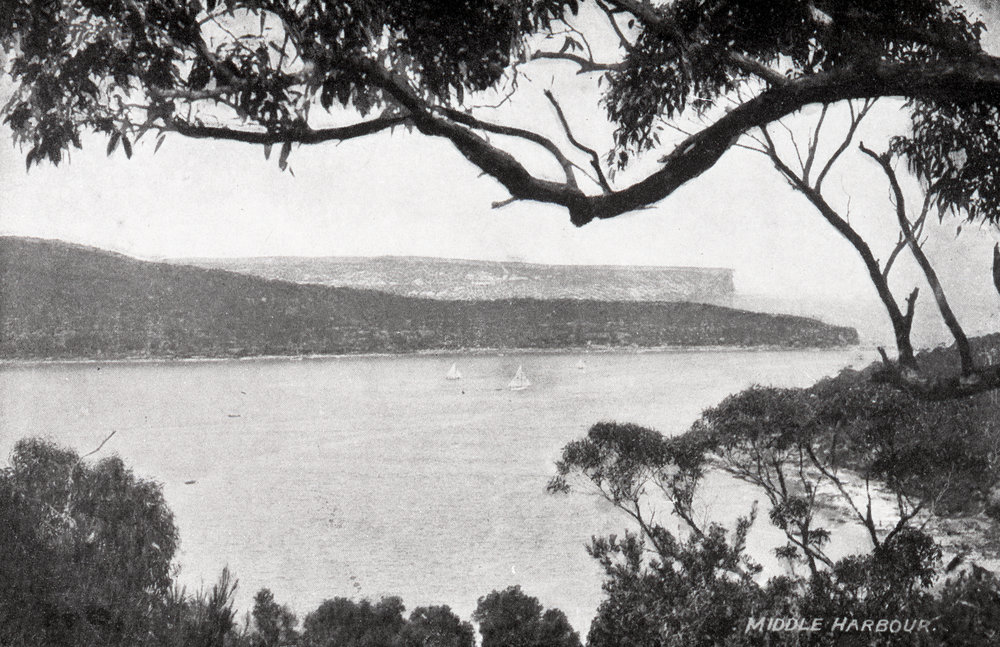 Grotto Point from Parriwi Road, Mosman, c 1907