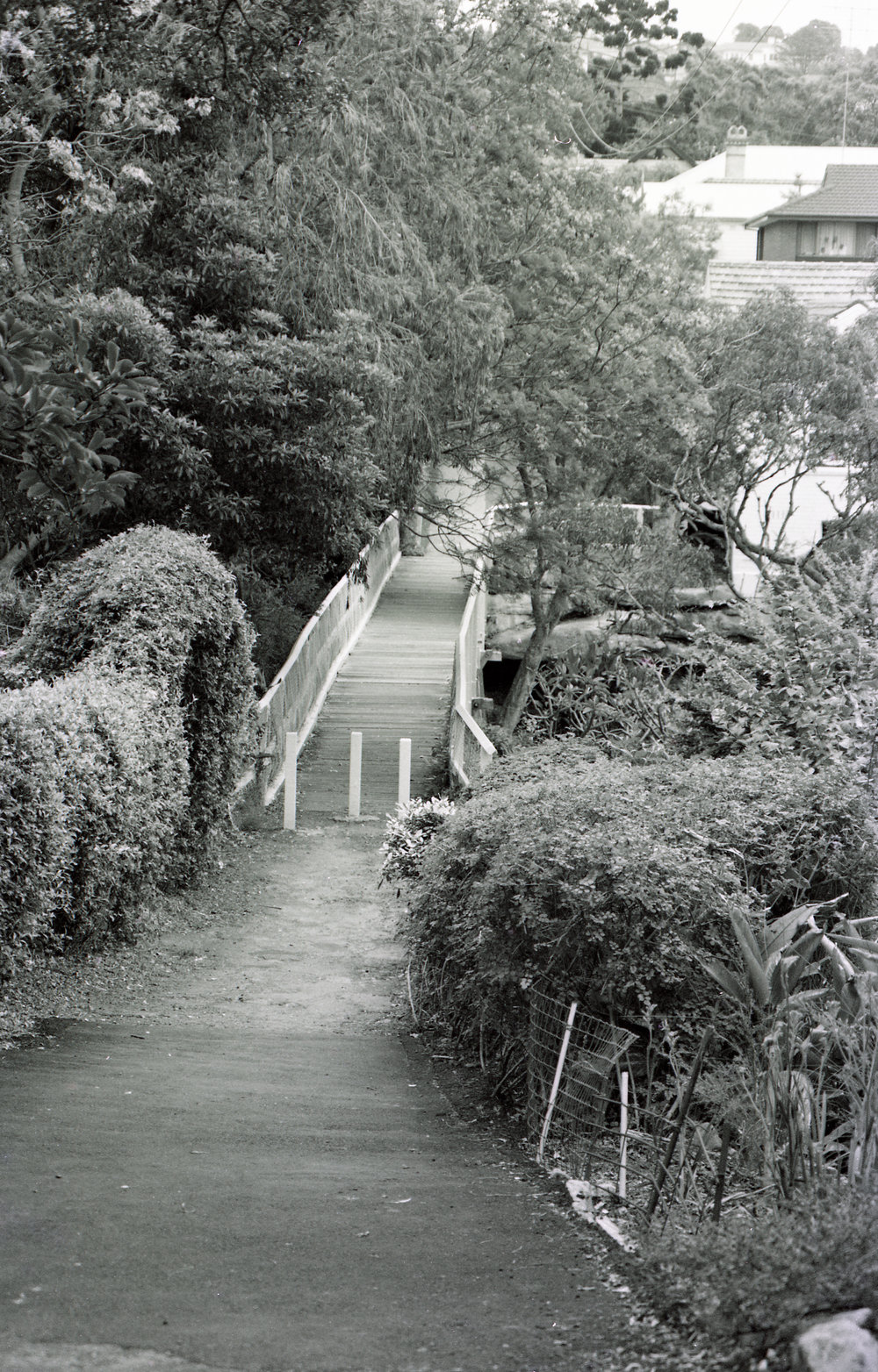 Footbridge between Gourlay Ave and North Harbour St, Balgowlah