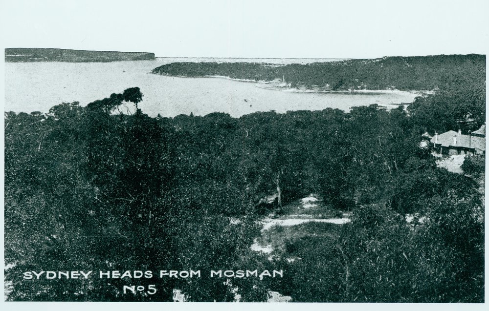 Sydney Harbour and The Heads from Mosman