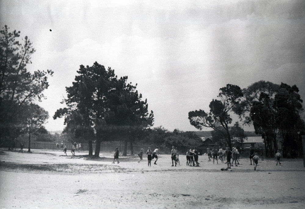 Seaforth Public School pupils in playground