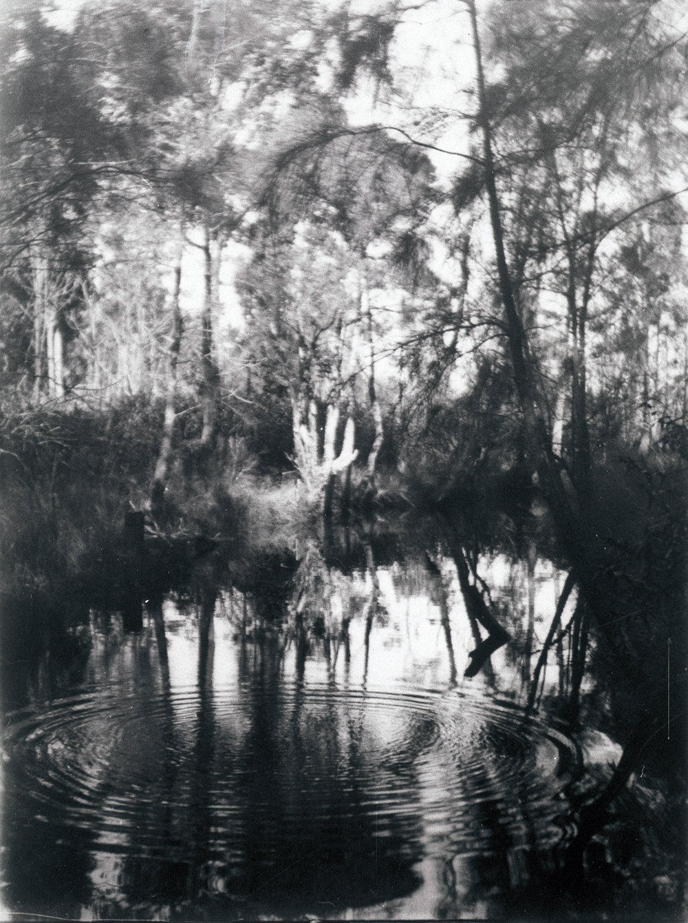 Narrabeen Lagoon, c 1910