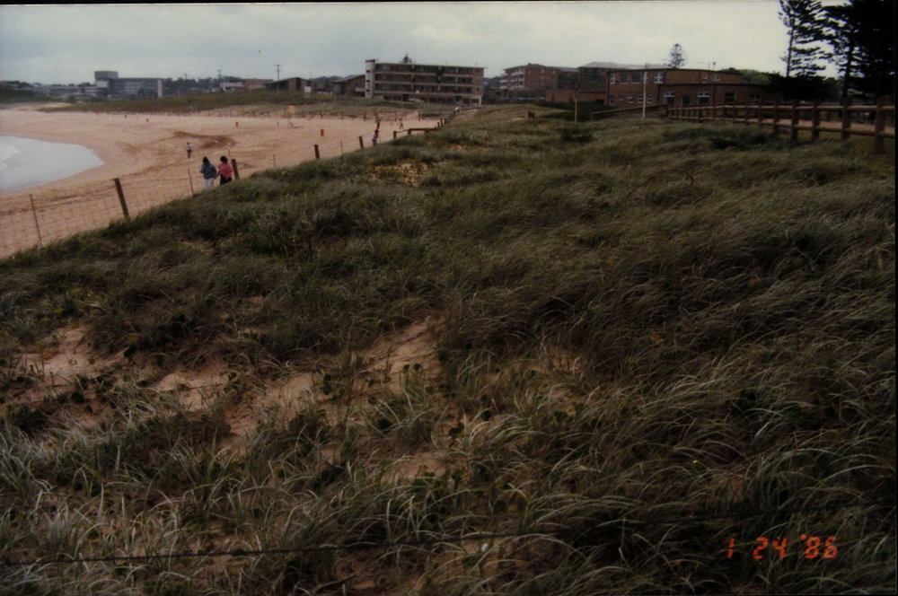 Mona Vale Beach, Mona Vale