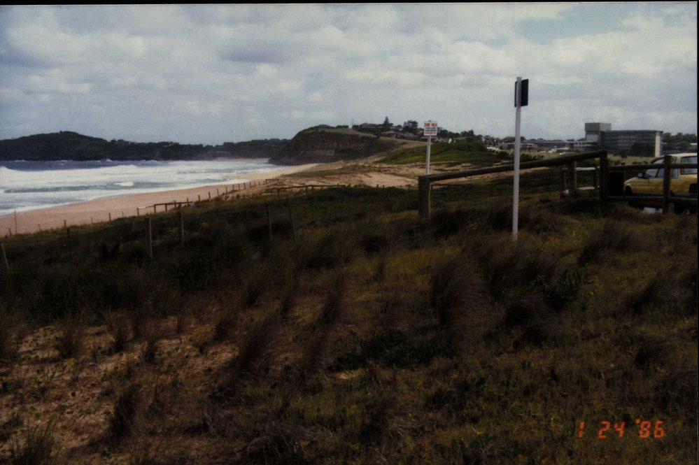 Sand Dunes at Mona Vale Beach