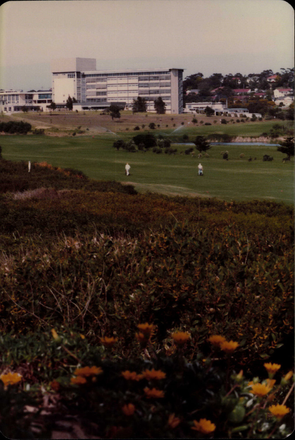 Mona Vale Golf course with Mona Vale Hospital in background