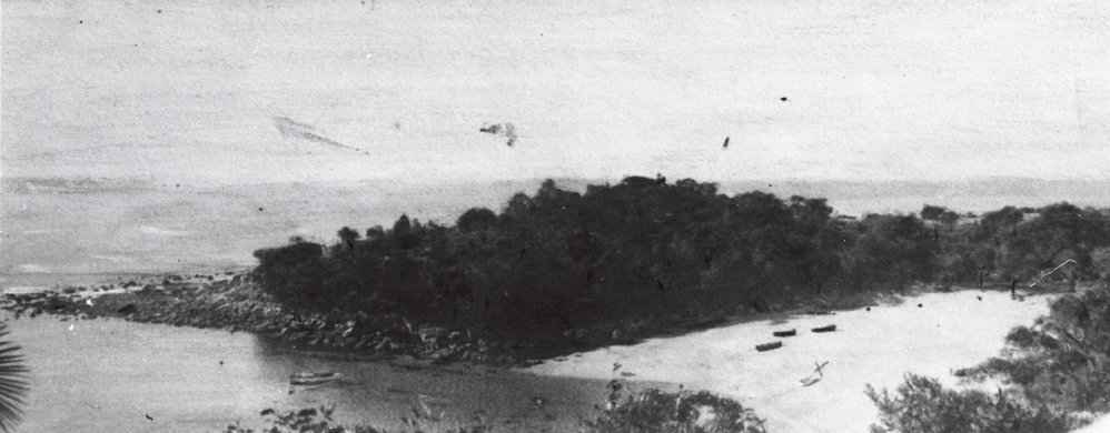 Shelly Beach and headland