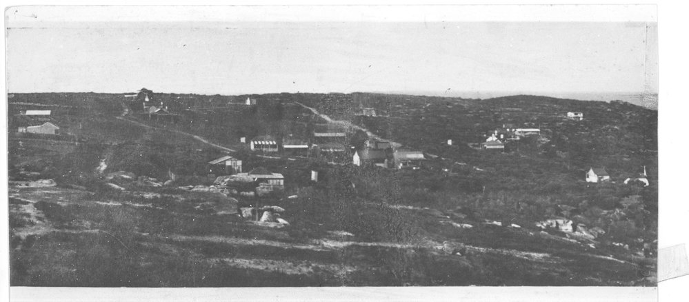 Houses on the North Curl Curl headland.