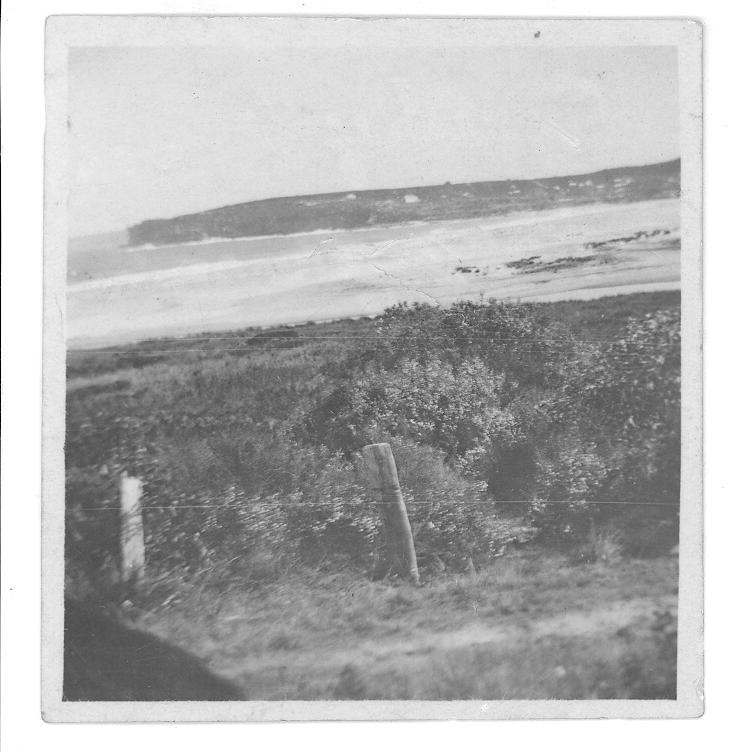 Dee Why Beach taken from the Narrabeen Tram at Long Reef