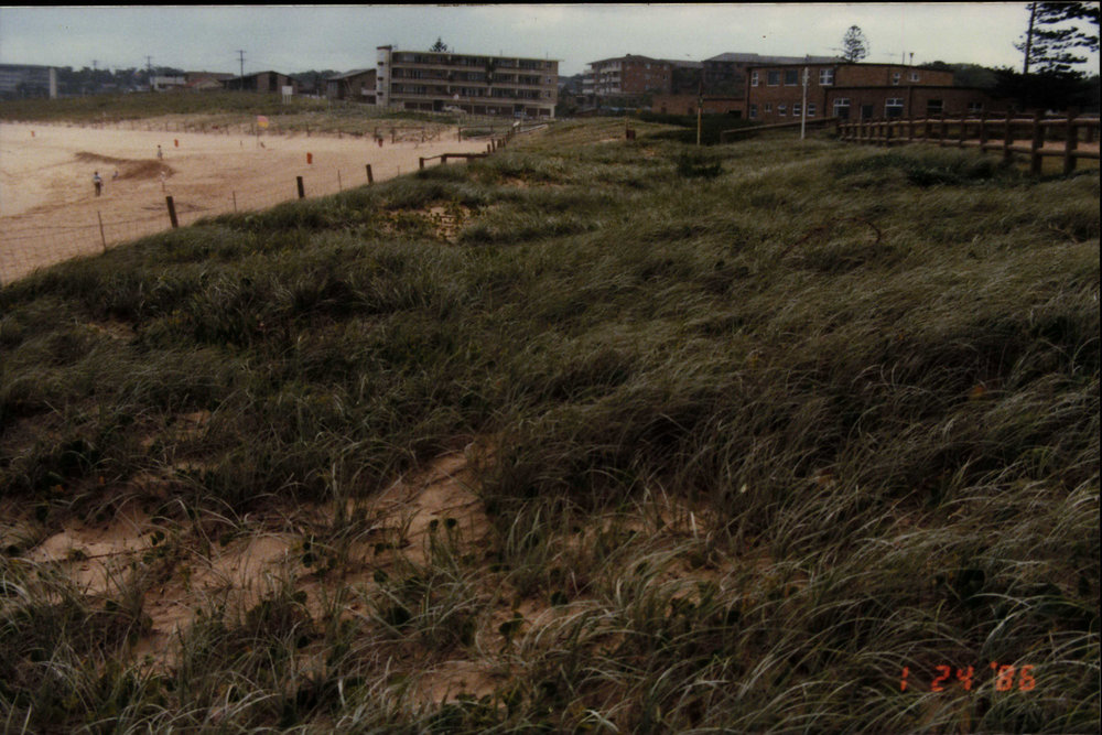 Basin Beach, Mona Vale