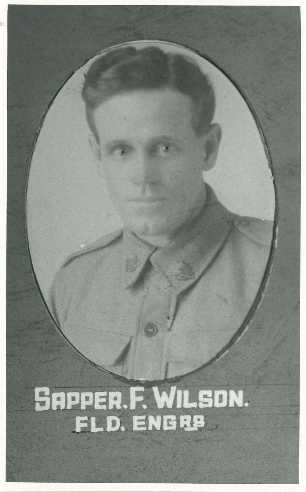 Wilson, Frank, 21894