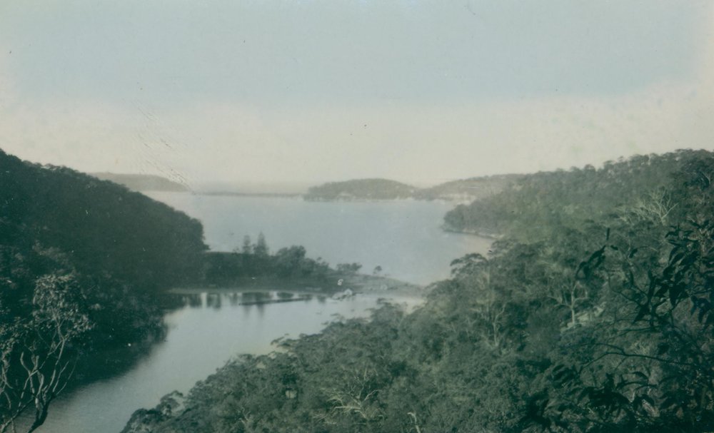 The Basin