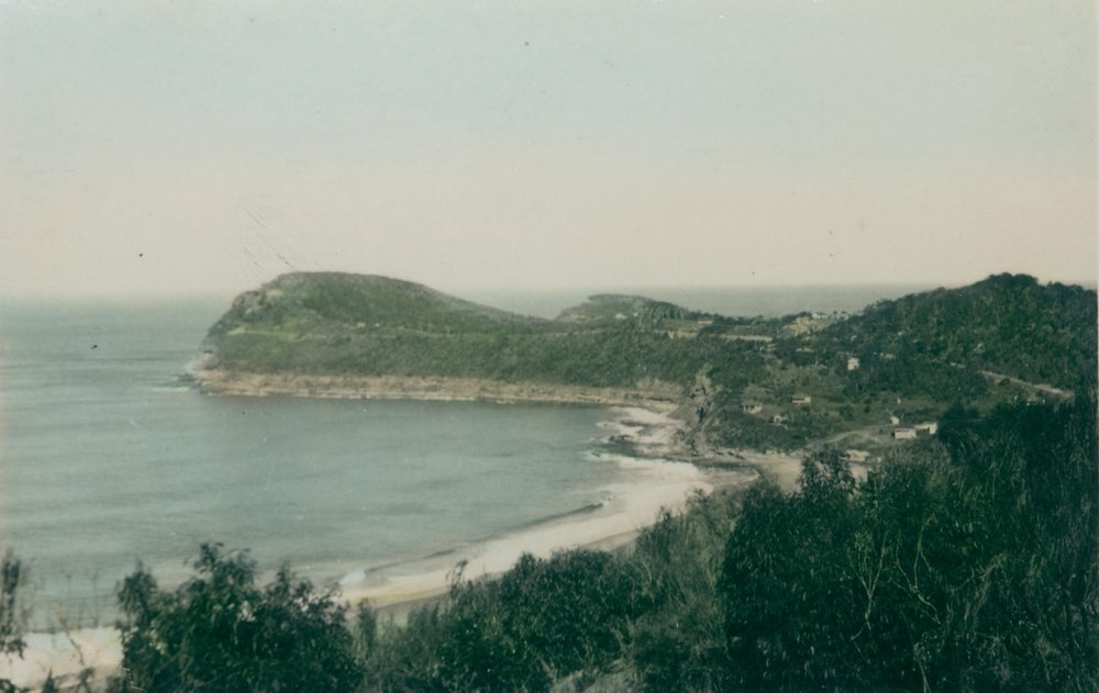 Whale Beach