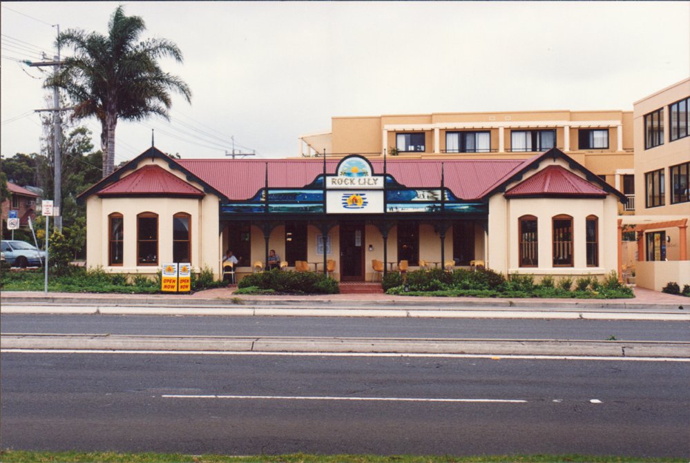 Rock Lily, Pittwater Road Mona Vale