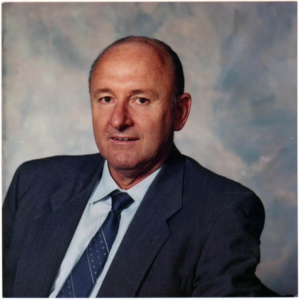 John McAllan, Manly Council, 1989