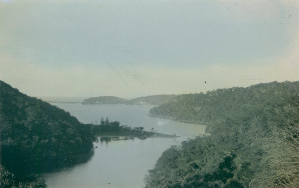The Basin