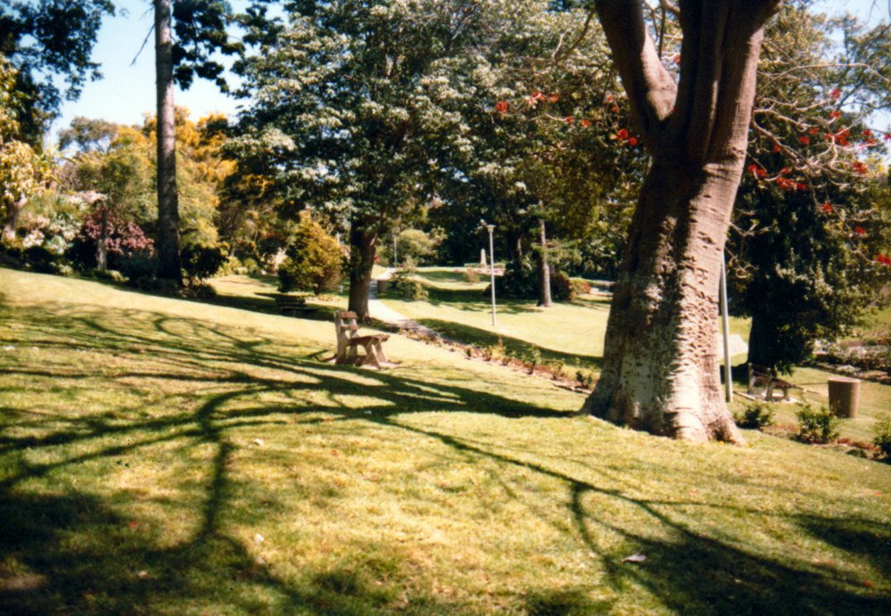 Ivanhoe Park, Manly, 1982