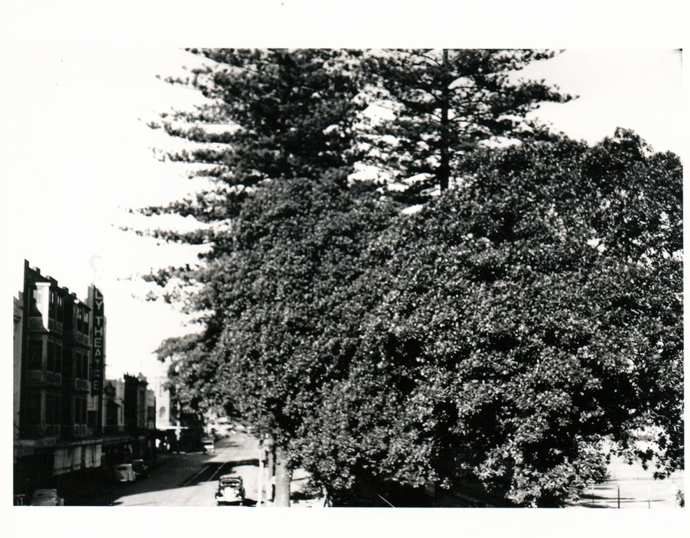 Belgrave Street, Manly