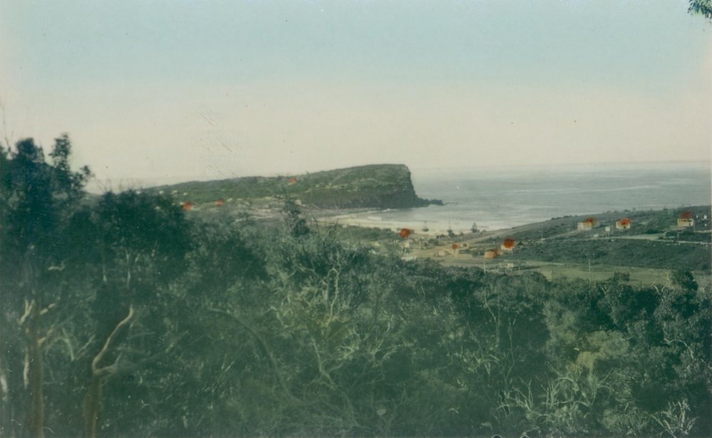Avalon Beach and headland