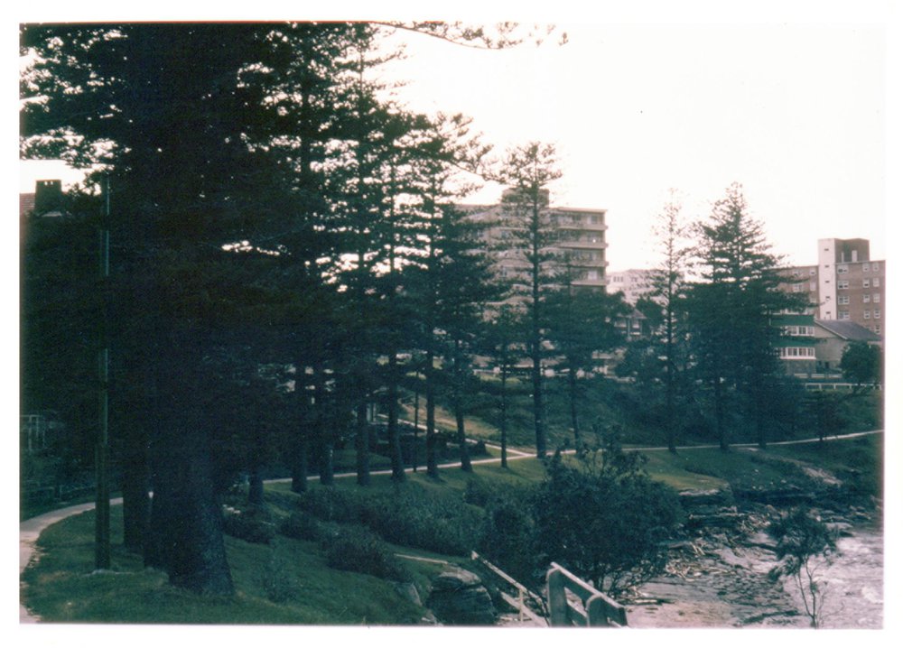 Delwood Beach, Fairlight