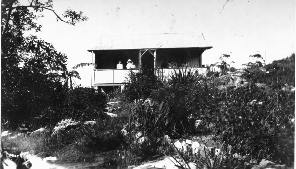 Turvey family farm,  Belrose