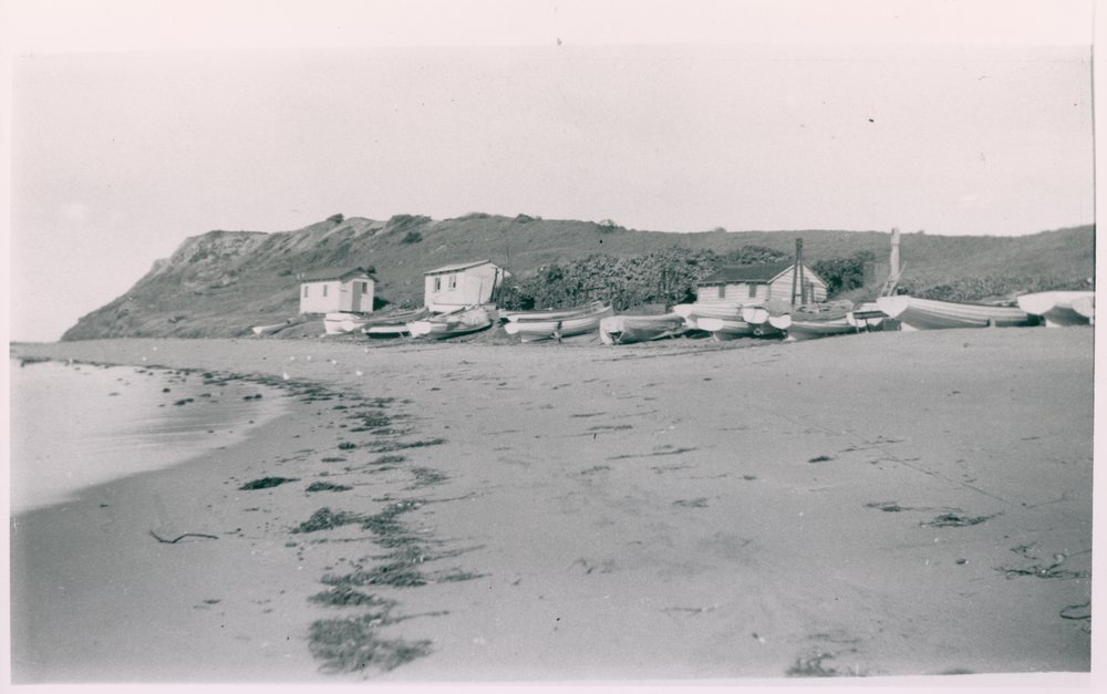 Fishermans Beach, Long Reef, Collaroy