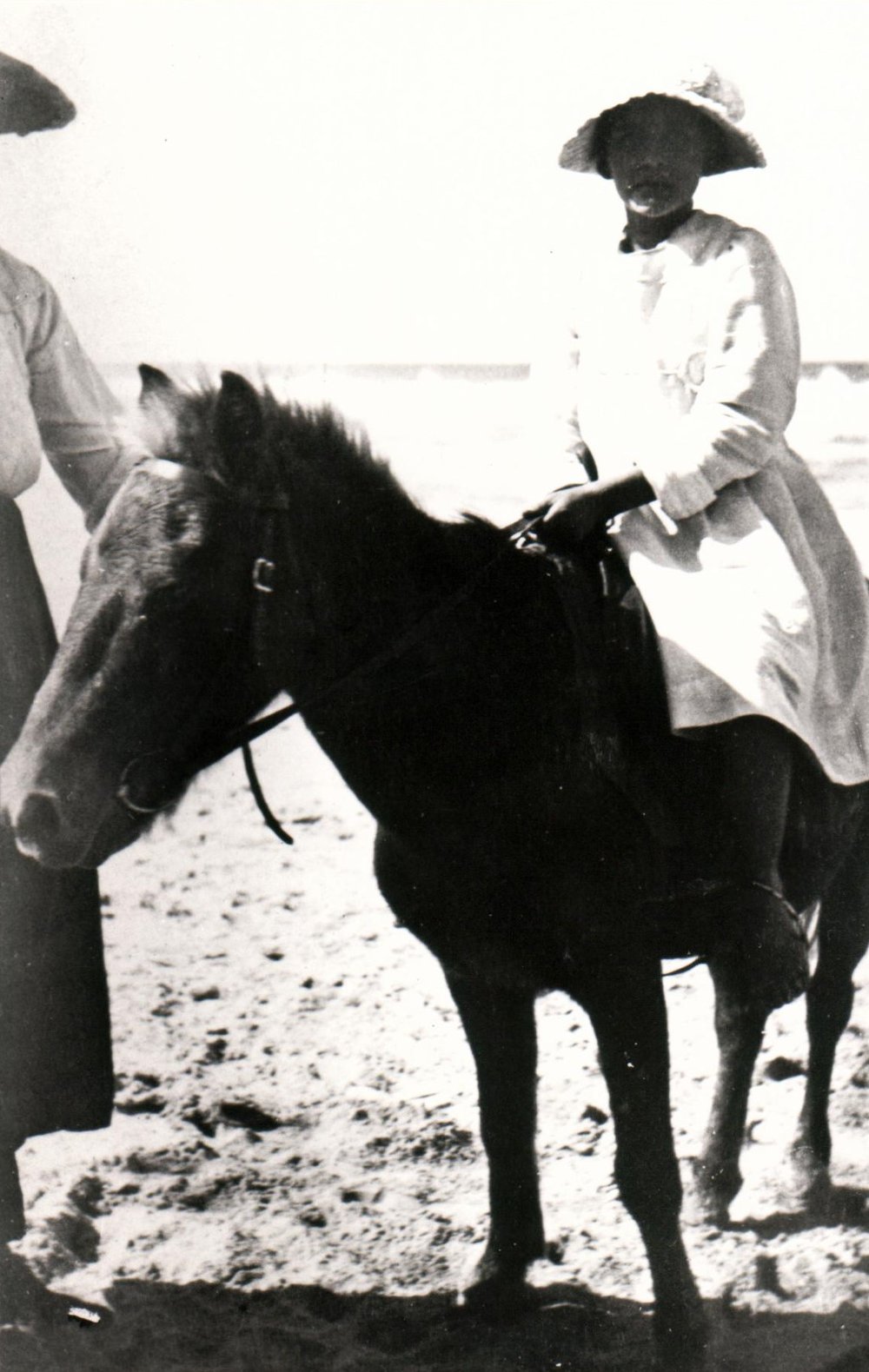 Pony ride on Manly Beach